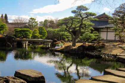 kwon junho SwUgzhqShr0 unsplash