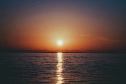 pexels artem balashevsky 651916235 29346909