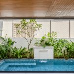 pexels siddanthsawant 33479125