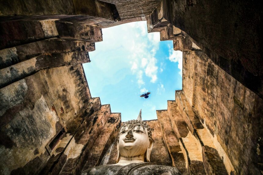 pexels 34160843 22686615