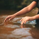 pexels hebertsantos 15598158