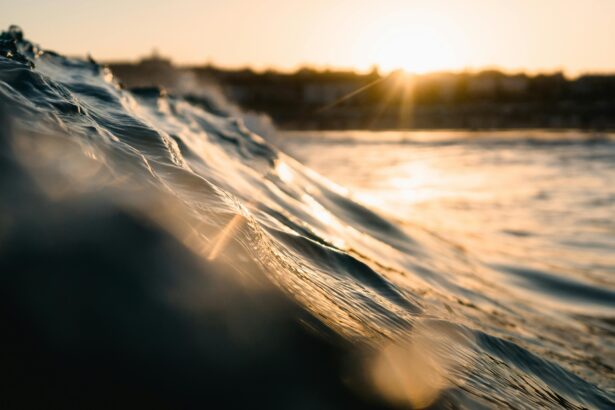 pexels matthardy 1615681