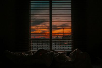 pexels mo eid 1268975 3337209