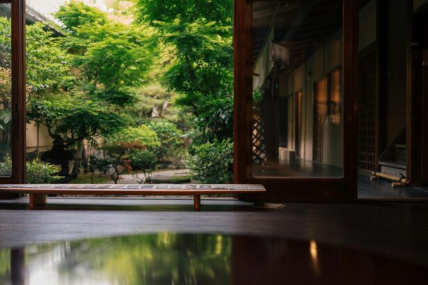 pexels ekrulila 36352197