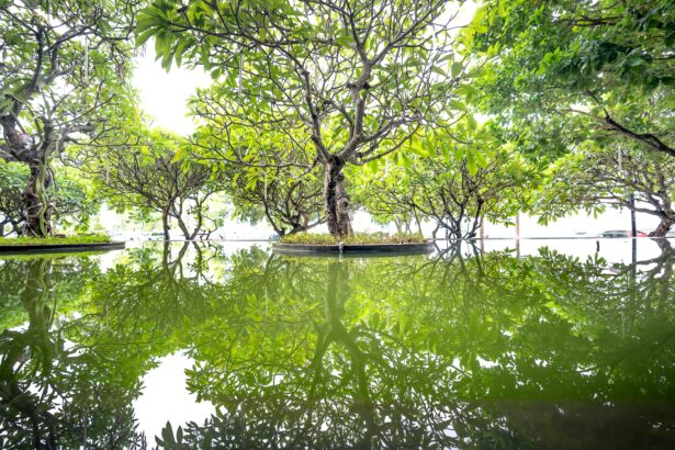 pexels quang nguyen vinh 222549 6871883