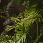 pexels didi lecatompessy 2149441489 30927814