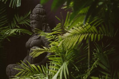 pexels didi lecatompessy 2149441489 30927814