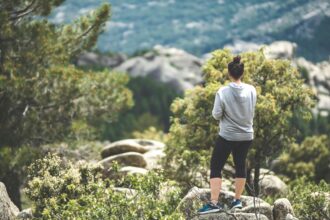 pexels jokassis 5534230