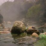 pexels mateodavilah 15173240