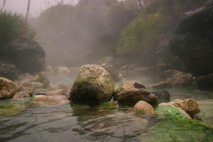 pexels mateodavilah 15173240