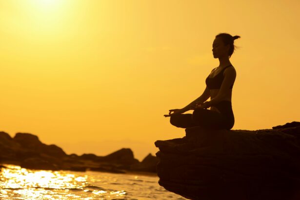 pexels ray lei 2809836 13849283