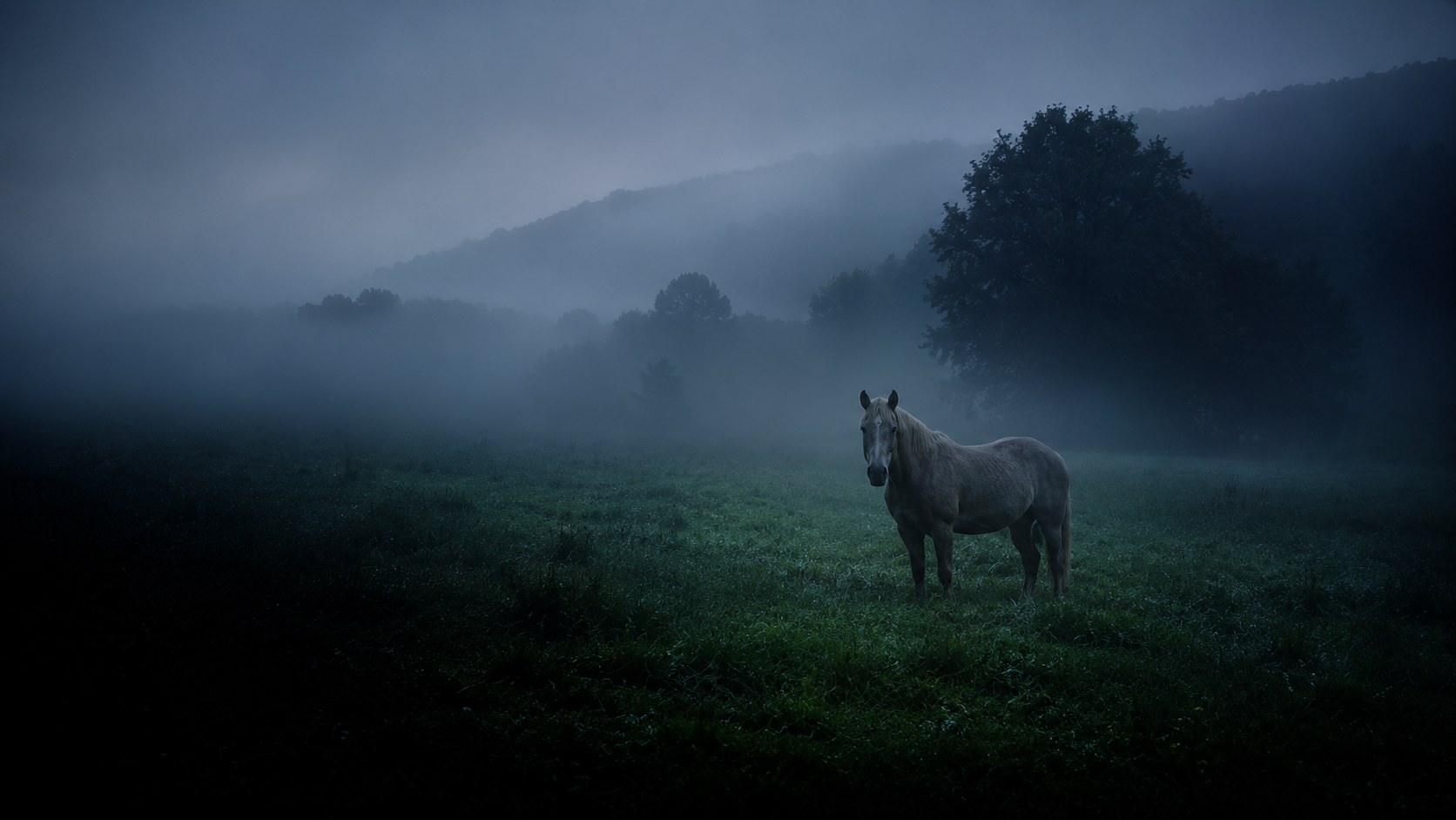 Un caballo en un prado verde con bruma al amanecer, a la hora azul